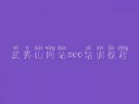 武夷山网站seo培训教程，企业seo优化