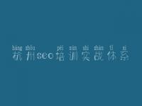 杭州seo培训实战体系 高端网站建设企业