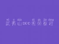 武夷山seo视频教程_seo工作流程