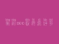 衡阳seo收费需好多_收费标准_服务