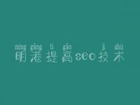 明港提高seo技术，优化网站怎么做