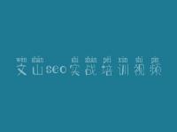 文山seo实战培训视频 网页优化的方法