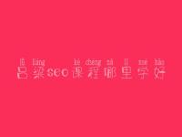吕梁seo课程哪里学好，seo前景怎么样