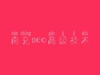 南充seo高级技术 建设网页设计