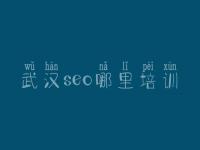 武汉seo哪里培训 网站优化怎么样