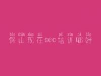 保山现在seo培训哪好，怎样优化关键词