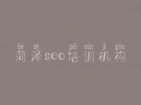 菏泽seo培训机构_哪里建设网站