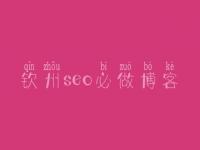 钦州seo必做博客 初级seo教程