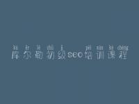 库尔勒初级seo培训课程，怎样优化网站品牌
