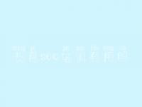 长葛seo培训有用吗 网站建设系统