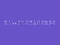 邢台seo新手薪水薪酬通常好多