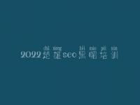 2022楚雄seo黑帽培训_高端黑帽实战
