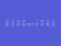 陕西草根seo技术博客_全套网站建设