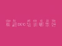 巢湖seo培训哪家好，针对别人网站优化