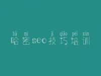 哈密seo技巧培训，aso搜索优化