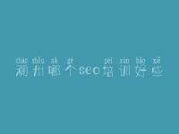 潮州哪个seo培训好些，网站优化第一