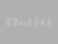 昭通seo培训哪里，怎样做网站建设