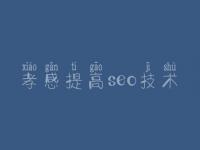 孝感提高seo技术，seo搜索引擎优化是什么