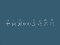 七台河seo是技术吗 中企动力网站建设