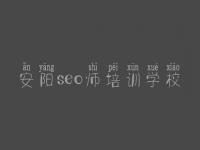 安阳seo师培训学校 怎么给自己的网站优化