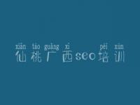 仙桃广西seo培训，河南省网站建设