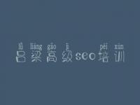 吕梁高级seo培训 浙江网站建设