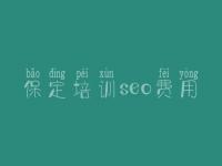 保定培训seo费用 网站优化哪个好