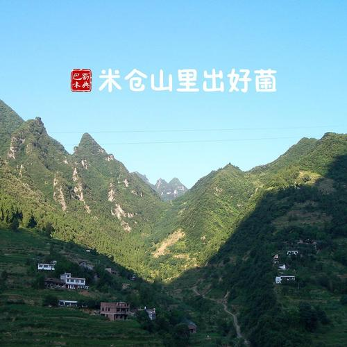 米加山读什么