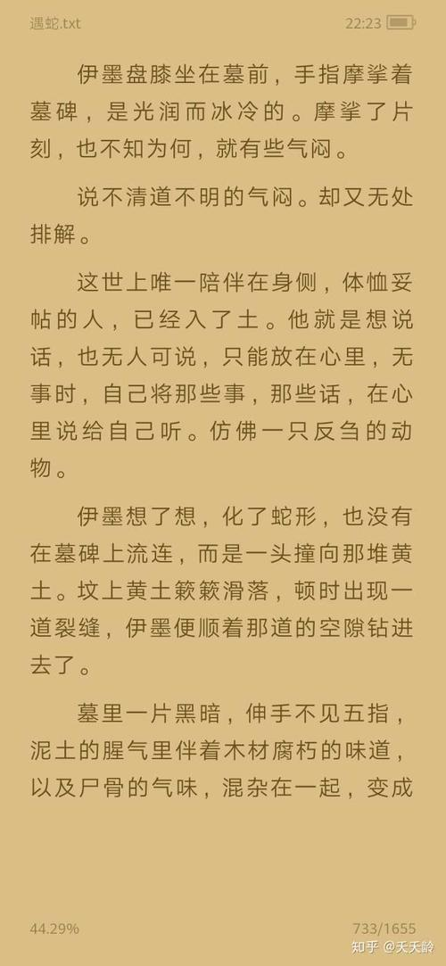 言情小说片段