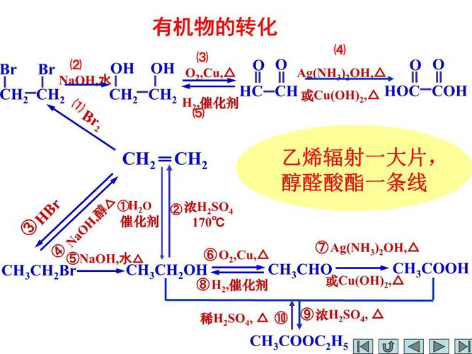 有机物是什么