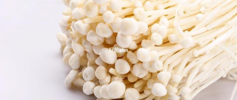 蘑菇是发物吗