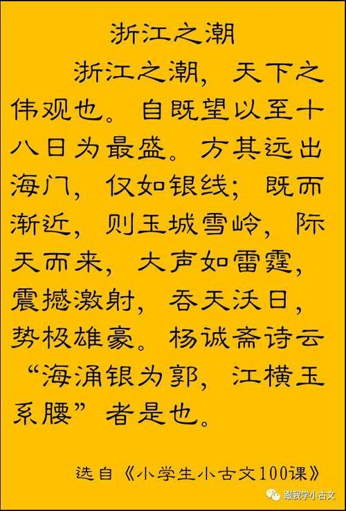 三个小念什么