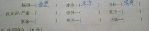舒适的反义词
