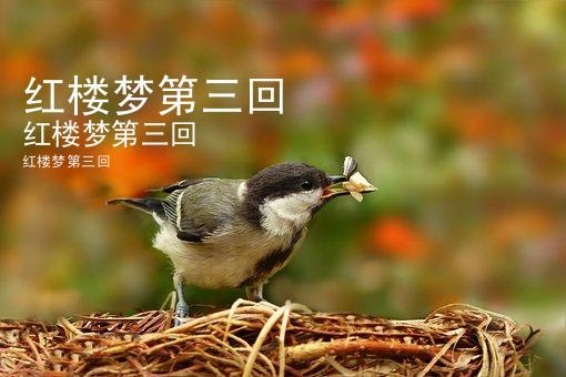 红楼梦第三回