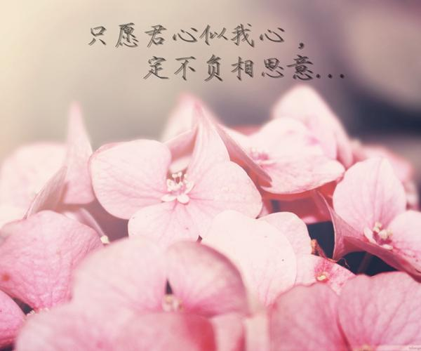 心什么意什么