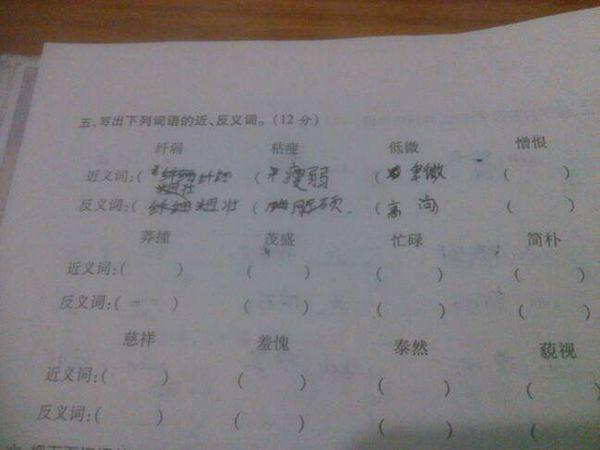 贡献的反义词