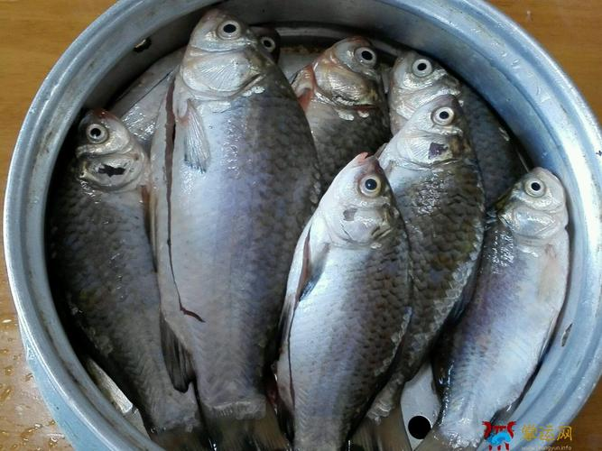捞是什么意思