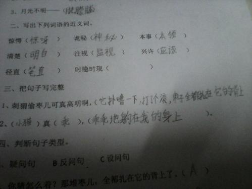 尊敬的近义词