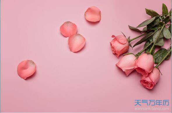情人节是几号