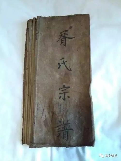 胥姓氏怎么读