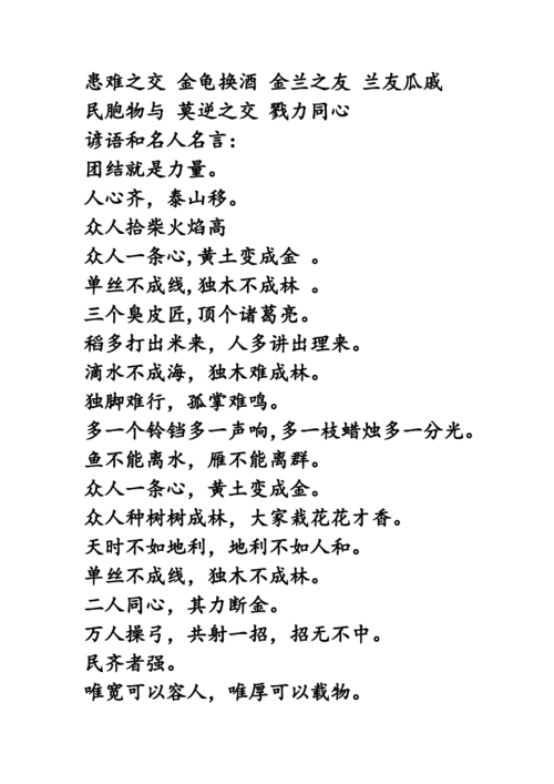 什么团结成语