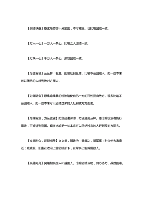 什么团结成语