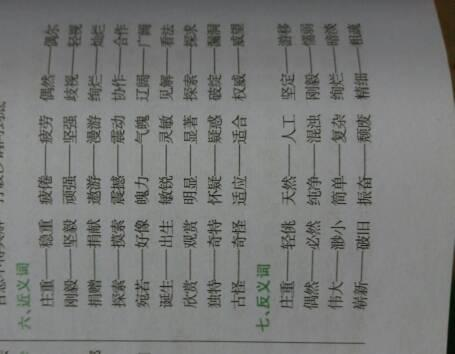 清晰的近义词