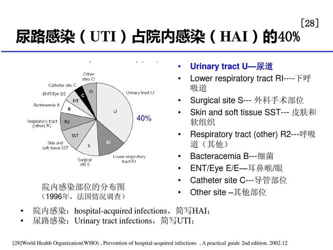 tl是什么意思