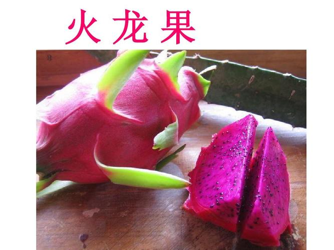火龙果的英文