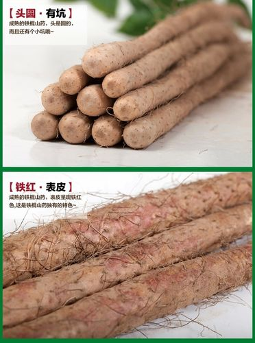 山药皮能吃吗