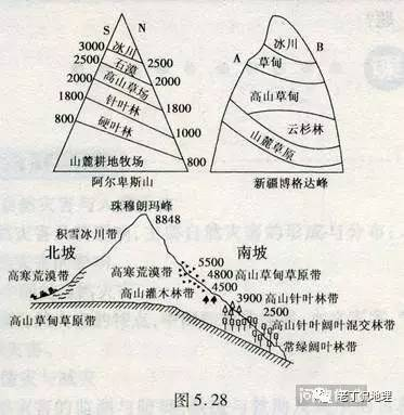 海拔高度查询