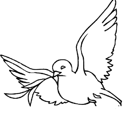 和平鸽简笔画