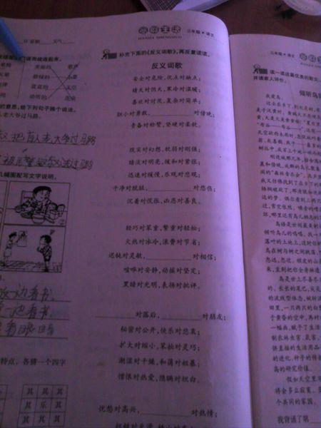 悲哀的反义词