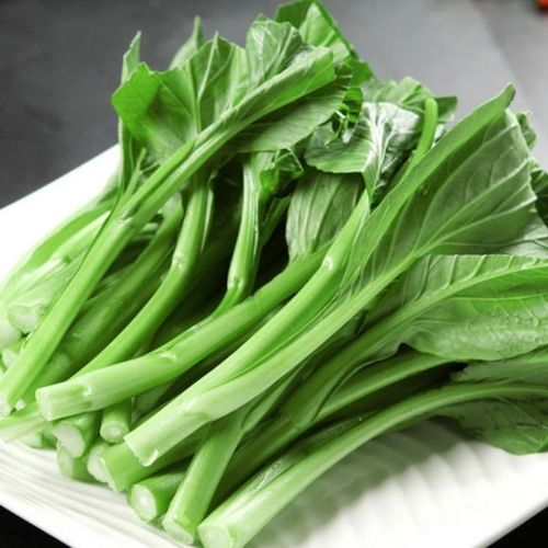 菜心是什么菜